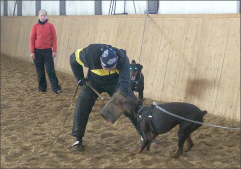 Training in Finland 11/2007